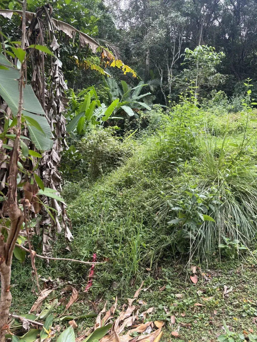 Completed Super Sleeper retaining wall reclaiming sloping land at a Cairns property — before