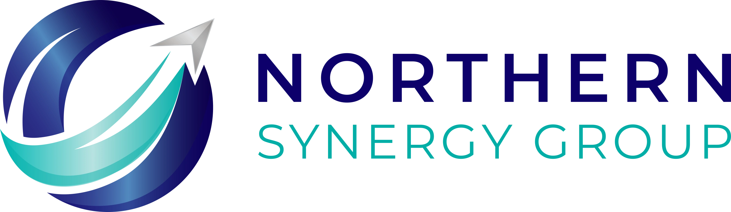 Northern Synergy Group logo